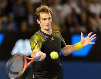 Miniatura: Australian Open: Murray w finale, Federer...