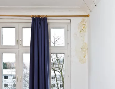 Miniatura: Najpierw krople, potem pleśń. Mokra ściana...