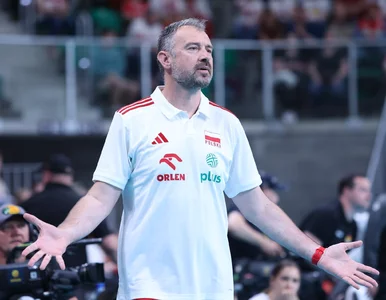 Miniatura: Kłopoty Nikoli Grbicia. Kluczowi...