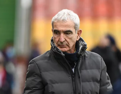 Miniatura: Raymond Domenech ocenił występ Polaków na...