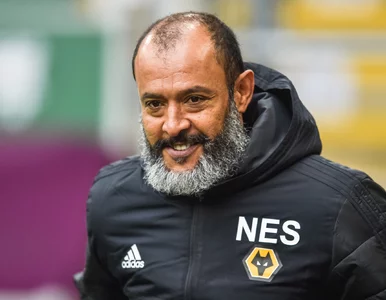 Miniatura: Premier League. Nuno Espirito Santo nowym...
