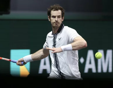 Miniatura: Andy Murray komplementuje Igę Świątek....