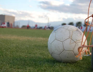 Miniatura: Kibice bici do nieprzytomności. Brazylia...