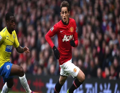 Miniatura: Chciało go kilka reprezentacji. Januzaj...