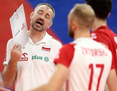 Miniatura: Nikola Grbić pozostaje nieugięty. Odniósł...