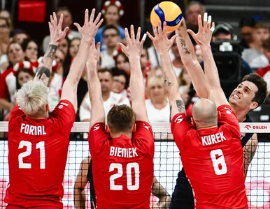 Miniatura: Polacy odwrócili losy meczu z Amerykanami....