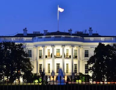 Miniatura: Dana White potwierdza szokujący pomysł...