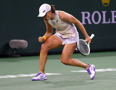 Miniatura: Drabinka Indian Wells. Wiemy, z kim Iga...