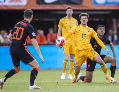 Miniatura: Wielkie emocje w meczu Holandia – Walia w...