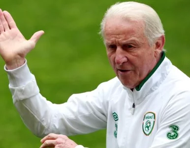 Miniatura: Trener Irlandii chwali Polaków. "Macie...