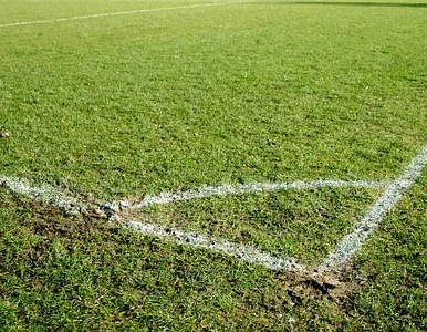 Miniatura: Euro 2012: Ukraina ma problem ze sprzedażą...