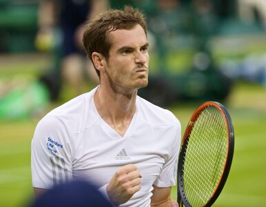 Miniatura: Wimbledon w cieniu mundialu. Murray:...