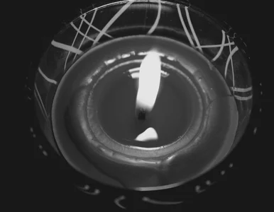 Miniatura: Znany reżyser nie żyje. Gwiazdy w żałobie:...