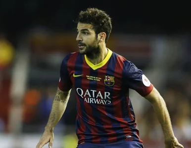 Miniatura: Barcelona sprzeda Fabregasa?