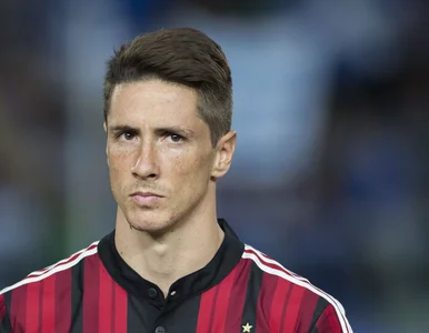 Miniatura: Jest porozumienie? Torres wraca do Atletico