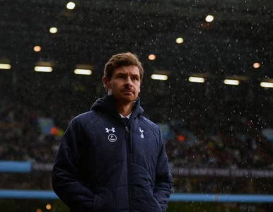 Miniatura: Właściciel Tottenhamu nie wytrzymał. Andre...
