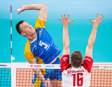 Miniatura: On ma zastąpić Kamila Semeniuka w ZAKSIE...