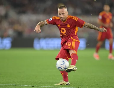 Miniatura: Nieodpowiedzialne zachowanie uznanego...