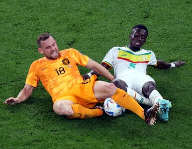 Oranje uniknęli wpadki. Piorunująca końcówka meczu Senegal – Holandia