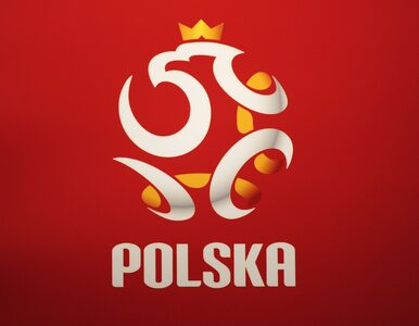 Kolejny piłkarz z zagranicy chce grać dla reprezentacji Polski. „Oni...