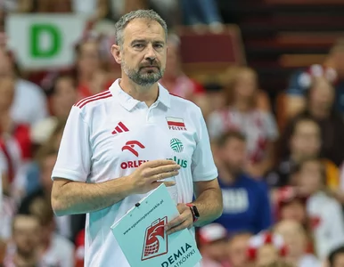 Miniatura: Nikola Grbić wyraził się jasno. Tego oczekuje