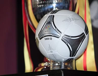 Miniatura: UEFA zabrała stadion Gdańskowi. Odda po Euro