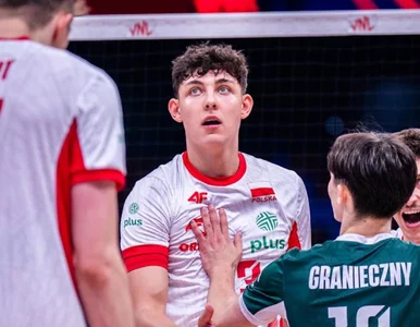 Miniatura: Debiutant zachwyca swoją przebojowością....