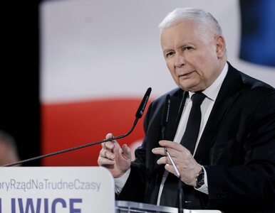 Kaczyński snuje mundialowe wizje. „Ambicja, że tylko wyjdziemy z grupy,...