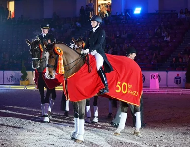 Miniatura: Cavaliada: Ujeżdżenie na Torwarze