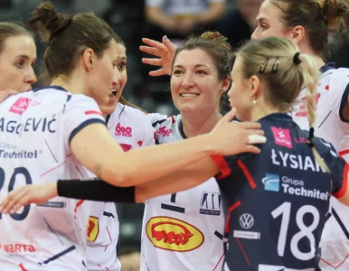 Miniatura: Dwa kroki od trofeum. Polski zespół...