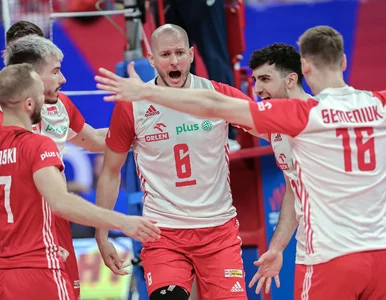 Miniatura: Quiz dla fanów siatkówki. Ostrzegamy,...