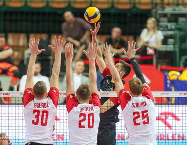 Miniatura: Nikola Grbić grzmiał: „Jesteście zbyt...