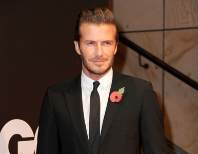 Miniatura: Beckham zostanie Sir Davidem Beckhamem?
