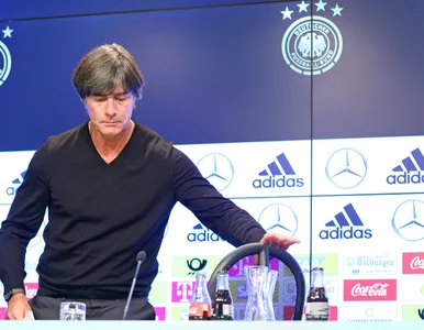 Miniatura: Polacy nie opublikowali raportu po...