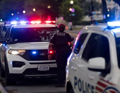 Miniatura: Reporterka NHL i jej dzieci znalezieni...