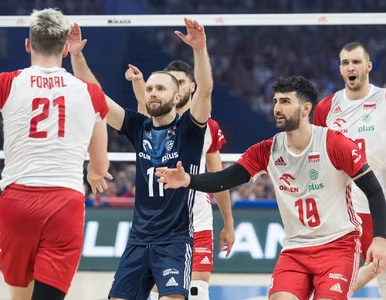 Miniatura: Ten polski siatkarz jest niedoceniany....