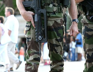 Miniatura: Wojsko pilnuje bezpieczeństwa na Euro