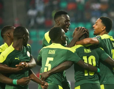 Miniatura: Oryginalne nagrody za wygranie Pucharu...