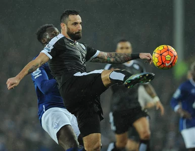 Miniatura: Wasilewski zderzył się ze ścianą hejtu....