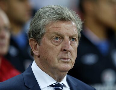 Hodgson: Holandia może dokonać wielkich rzeczy