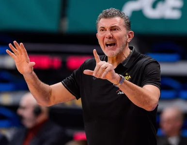 Miniatura: Trener PGE Skry Bełchatów musiał się...