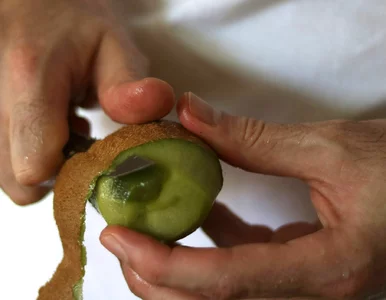 Miniatura: Na zaparcia jemy suszone śliwki. Wystarczą...