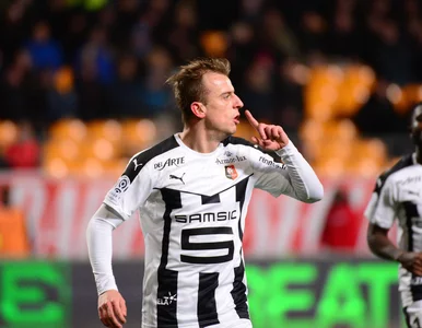 Miniatura: Legia chciała Grosickiego. Rennes nie...