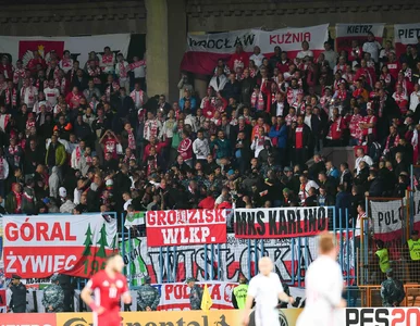 Miniatura: Zadyma miedzy Polakami na meczu z Armenią....