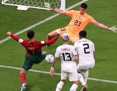 Kibic wbiegł na murawę meczu Portugalia - Urugwaj. Miał zakazany przedmiot