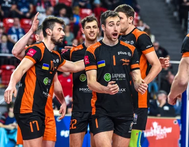 Miniatura: Asseco Resovia potwierdziła transfer...