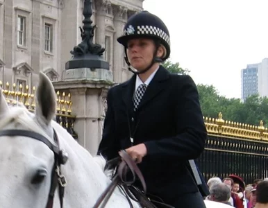 Miniatura: Brytyjscy policjanci będą śledzić w Polsce...