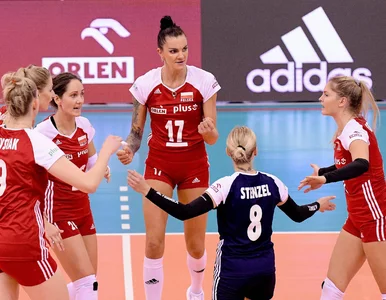 Miniatura: Utytułowane siatkarki wytypowały, kto...