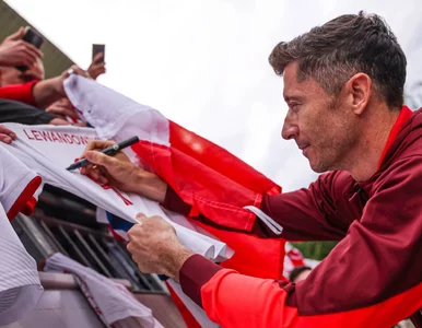 Miniatura: Cena za nową koszulkę reprezentacji Polski...