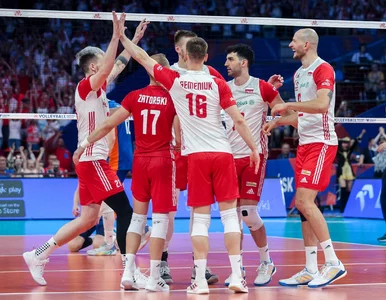 Miniatura: Polscy siatkarze ograli Holandię i wrócili...